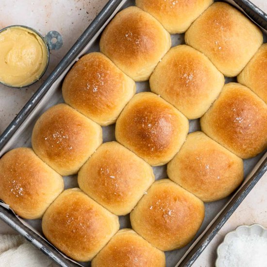 Brioche Dinner Rolls