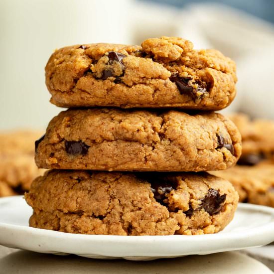 Chocolate Chip Peanut Butter Cookie