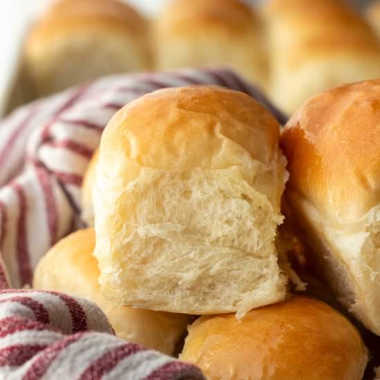 Homemade Yeast Dinner Rolls