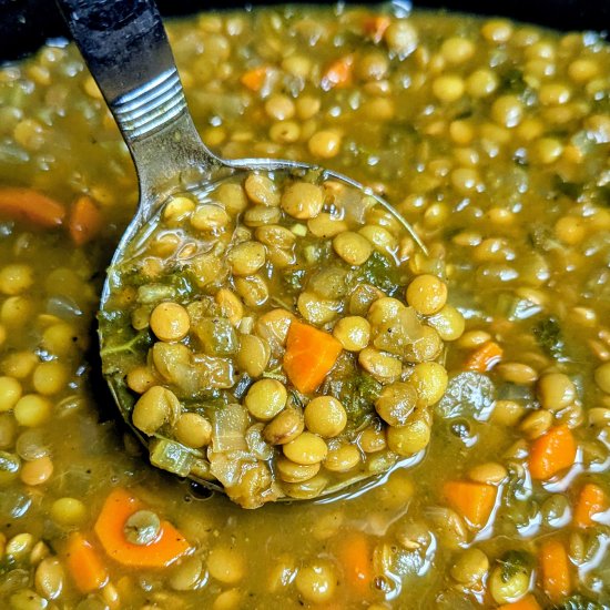 Slow Cooker Curried Lentil Soup