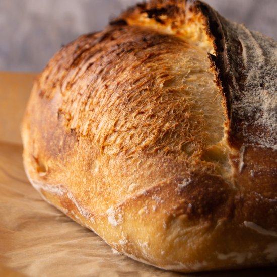 Quick and Easy Sourdough Bread